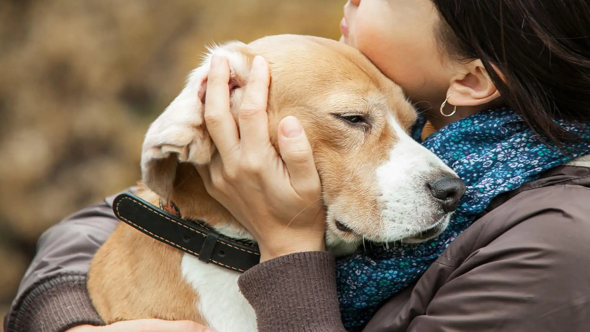 How Adventure Outings Can Provide Emotional Healing During Pet End-of-Life Decision-Making